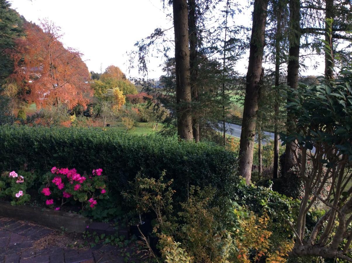 Tan Y Graig Bed & Breakfast Meifod Exterior photo